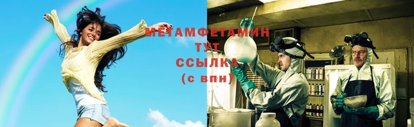 прущие грибы Михайловск