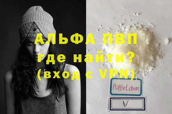 прущие грибы Михайловск