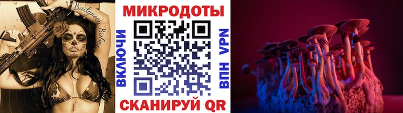 Псилоцибиновые грибы Psilocybe Саранск