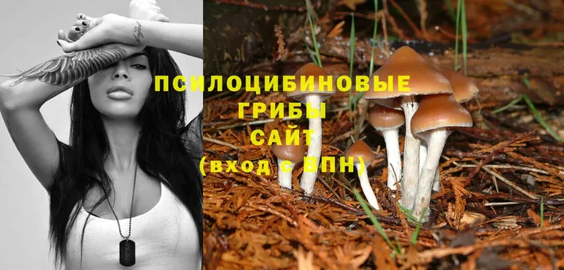 Галлюциногенные грибы Magic Shrooms Саранск